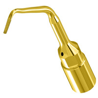 Woodpecker UE1 Ultrachirurgische endo