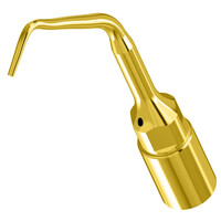 Woodpecker UE2 Endo ultrachirurgicale