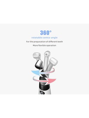 Woodpecker Endo radar Plus avec localisateur d'apex intégré  ARI
