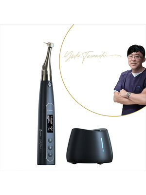 Woodpecker Ai-Motor Terauchi Black Edition