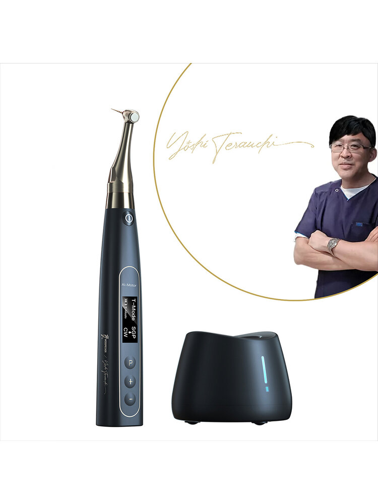 Woodpecker Ai-Motor Terauchi Black Edition