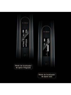 Woodpecker Ai-Motor Terauchi Black Edition