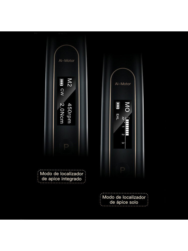 Woodpecker Ai-Motor Terauchi Black Edition