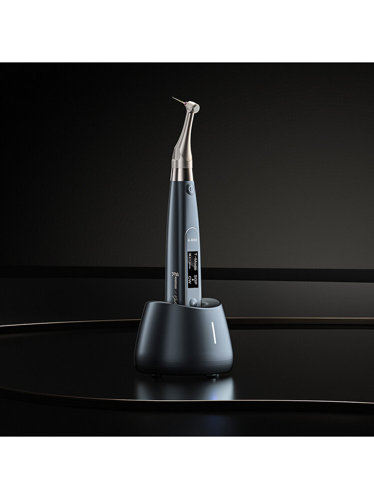 Woodpecker Ai-Motor Terauchi Black Edition