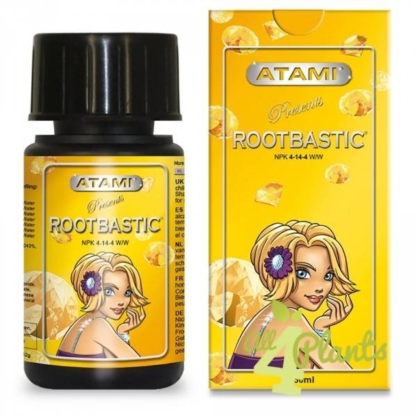 ATAMI Rootbastic
