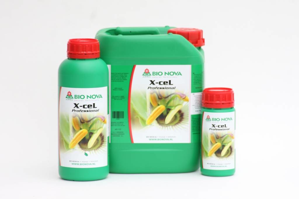 X-Cel Booster