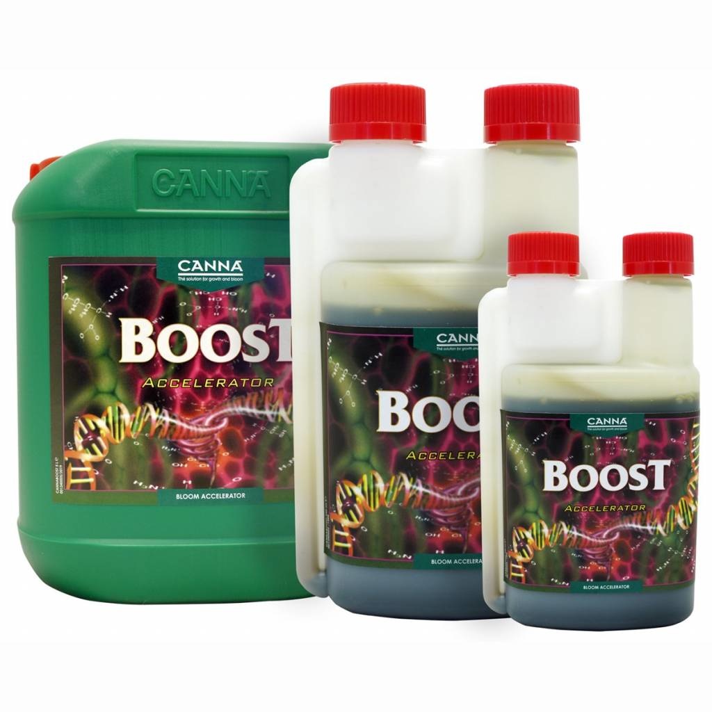 CANNABOOST Accelerator