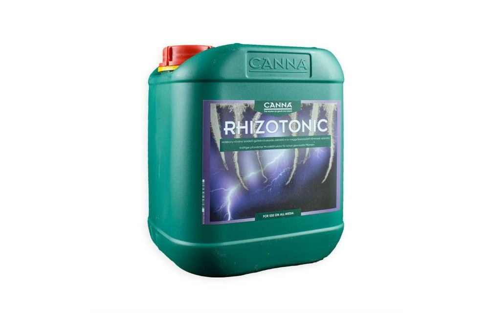 Rhizotonic