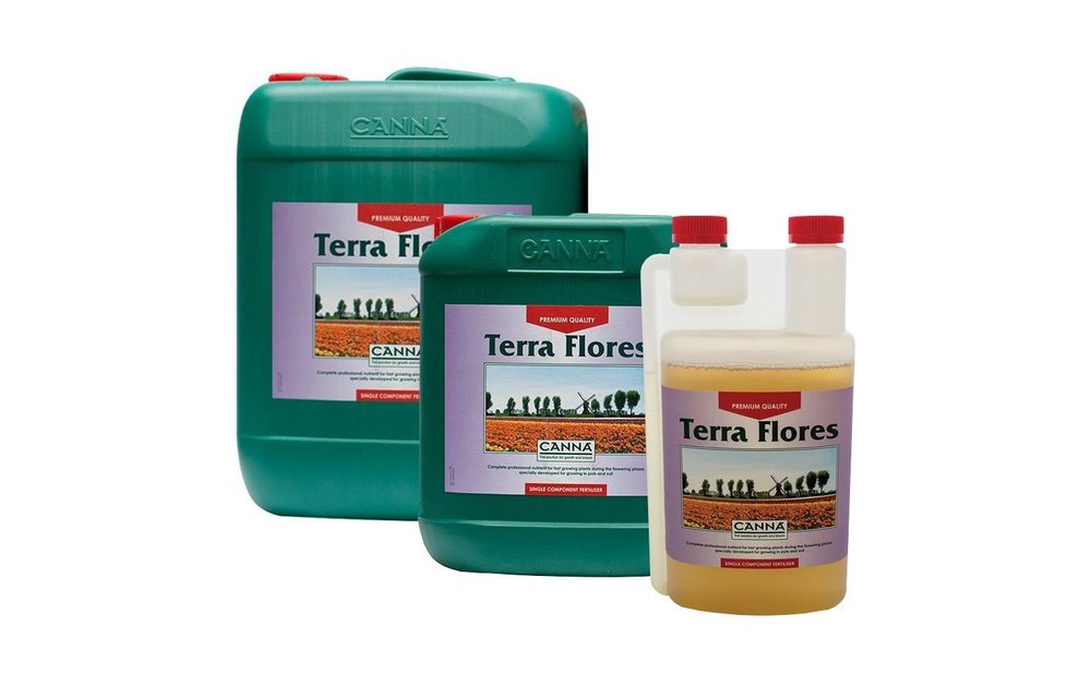 Terra Flores