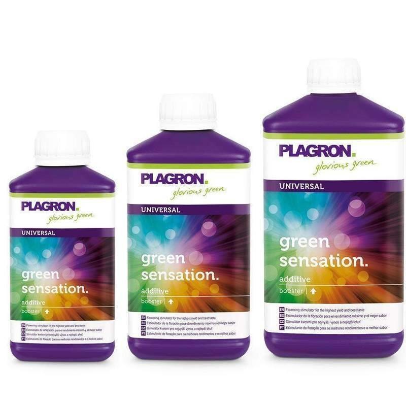 Plagron Green Sensation