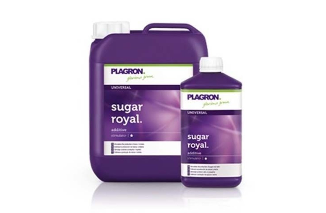 Plagron Sugar Royal