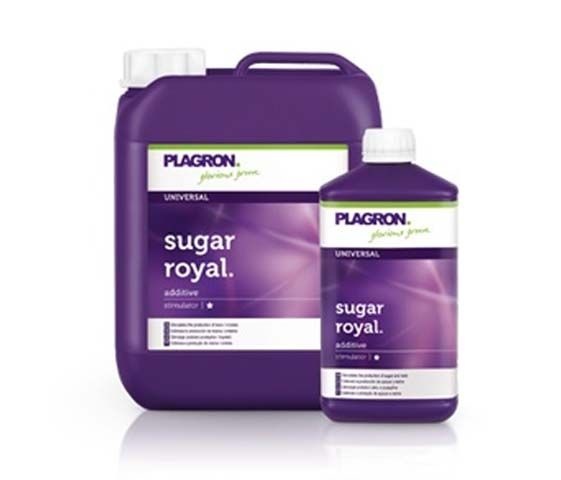 Plagron Sugar Royal