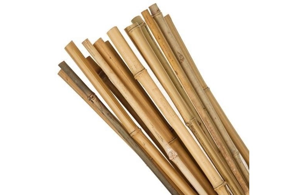 Bamboo Sticks 120 Cm Long Urban Gardening Store   Bamboo Stick 120 Cm 