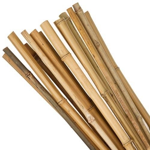Bamboestok 120 cm