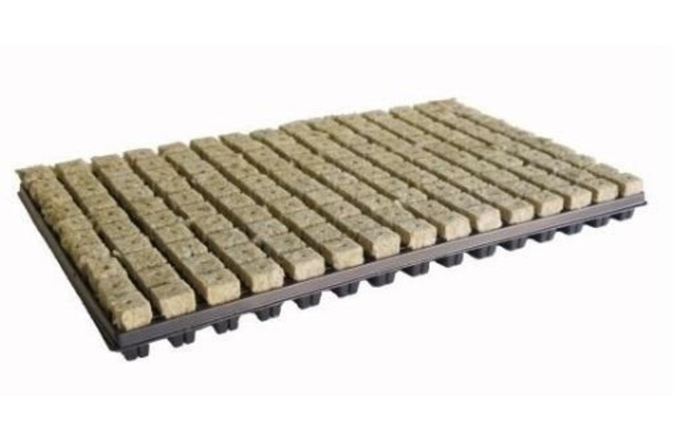 Cultilene Plug tray 77 stuks p/ tray of doos