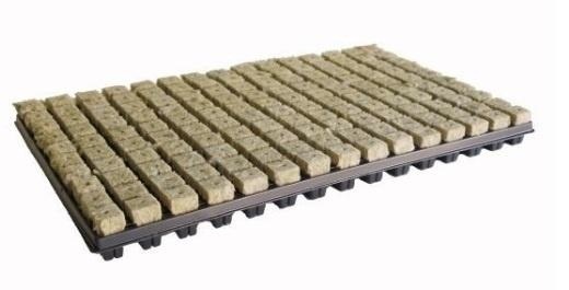 Cultilene Plug tray 77 stuks p/ tray of doos