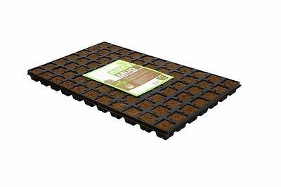 Eazy Plug 77 stektray 4x4cm