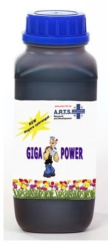 A.R.T.S Flower Power Top booster 1 ltr