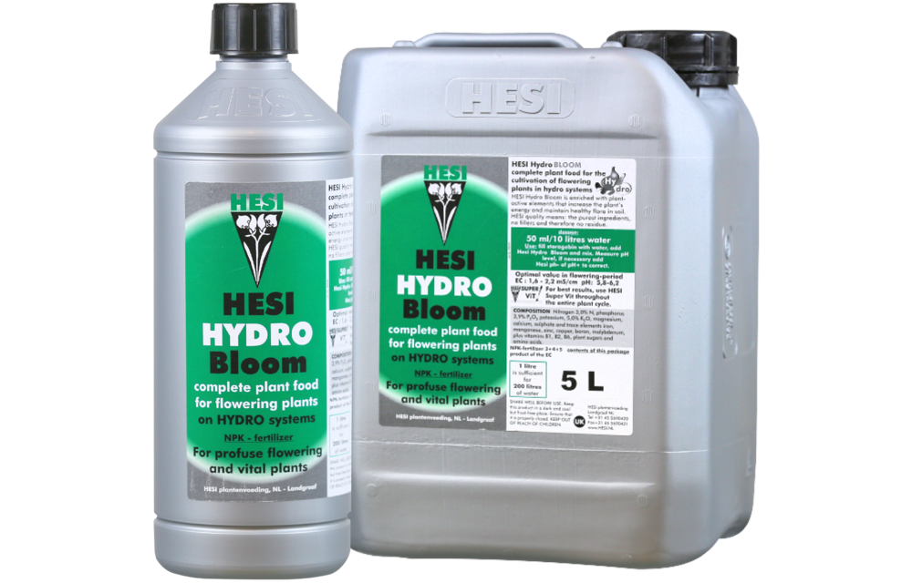 Hesi Hydro Blüte