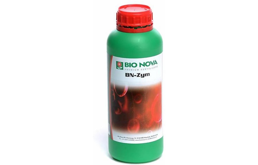 BN-Zym