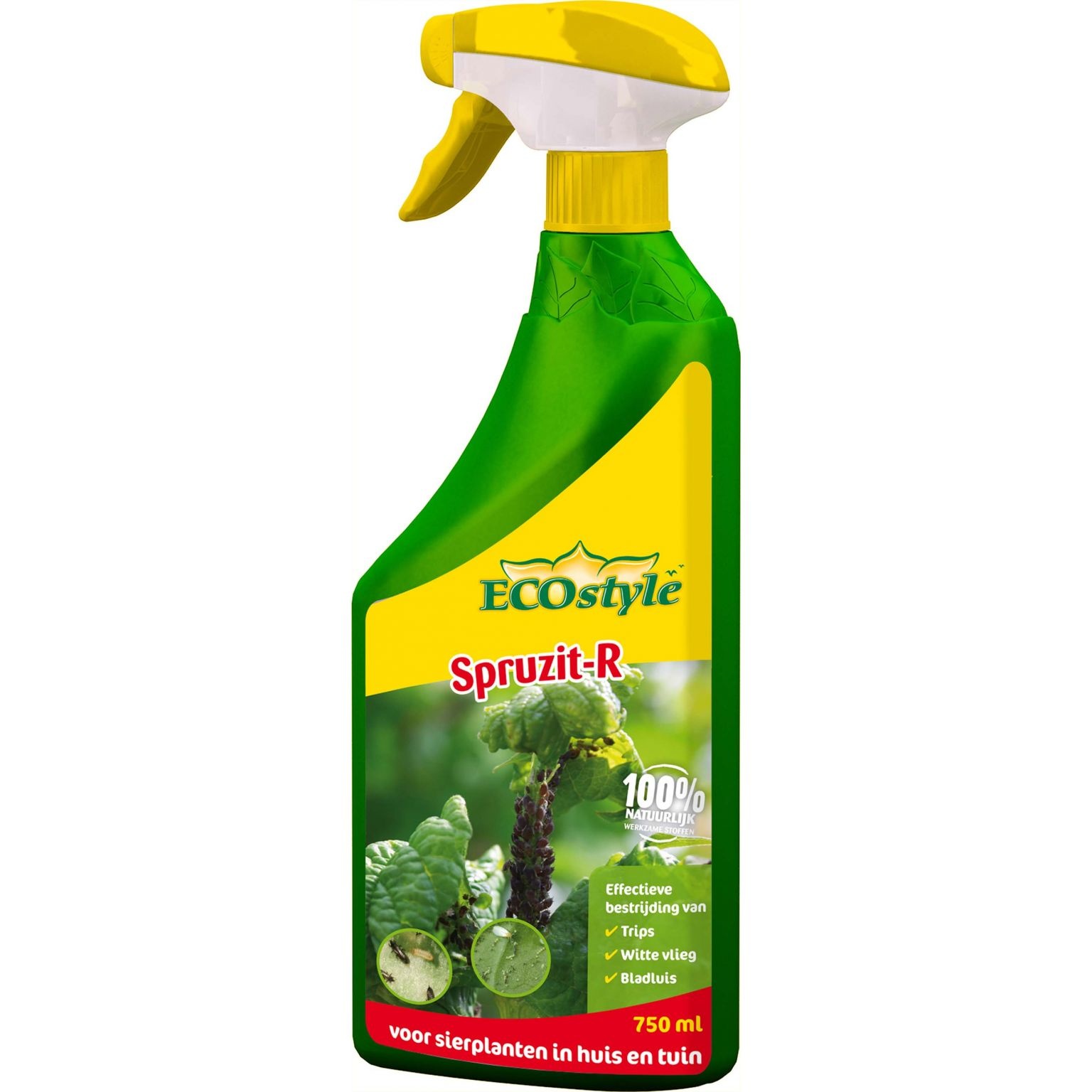 Ecostyle Spruzit R