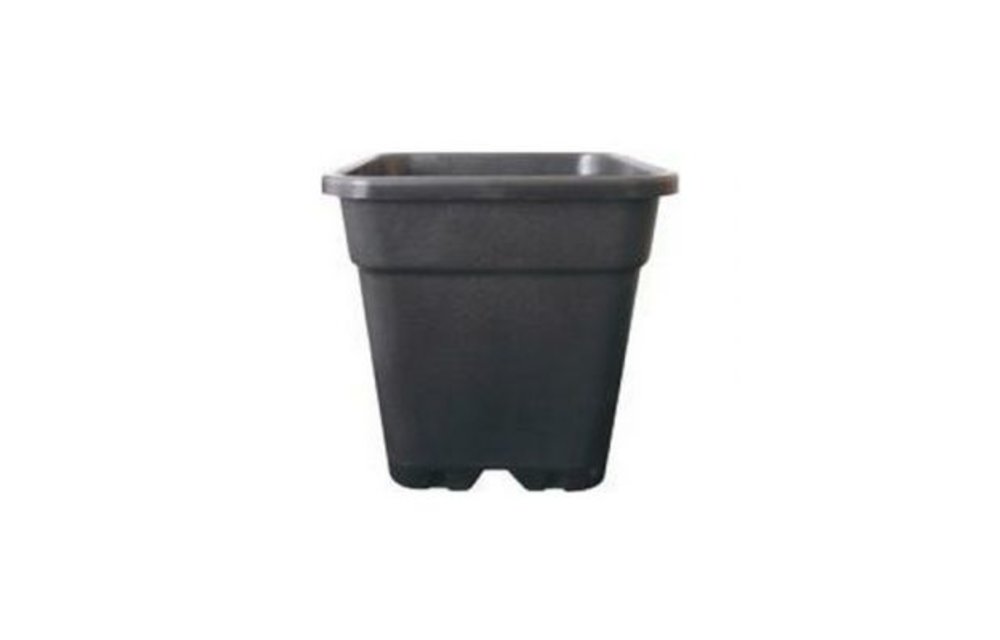 Vierkante Pot 3,5 Liter 15x15x20 cm