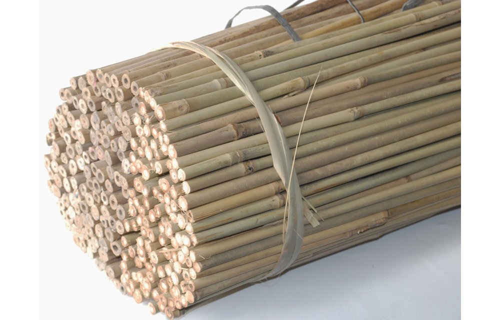 Tonkin sticks Natural (bamboo sticks)