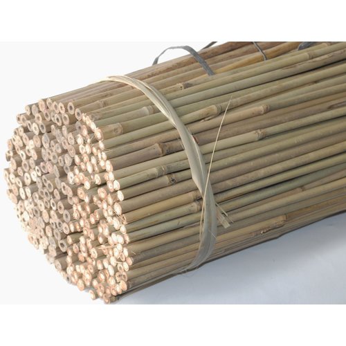 Tonkin sticks Natural (bamboo sticks) Tonkin sticks Natural (bamboo sticks)