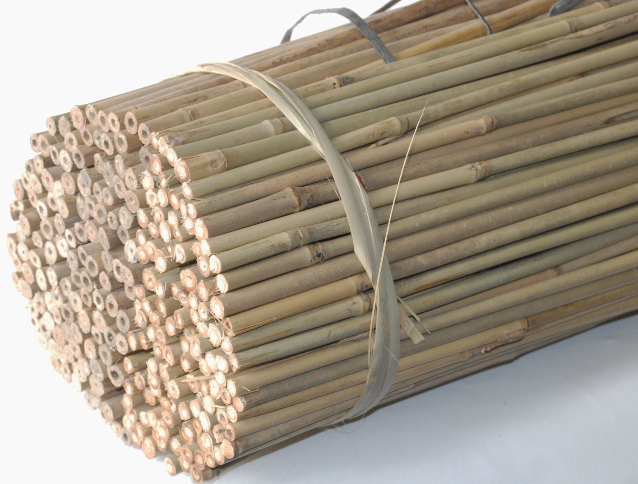 Tonkin sticks Natural (bamboo sticks)