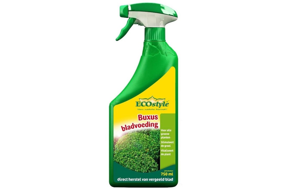 Eco-Style Buxus AZ