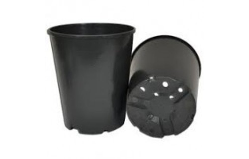 Rozen pot 7ltr 16 x 26cm