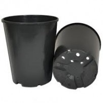 Rozen pot 7ltr 16 x 26cm