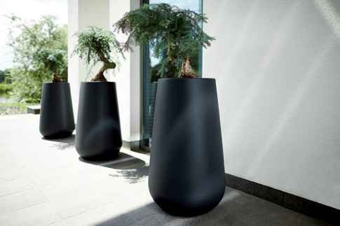 Pure Cone High - Zwart