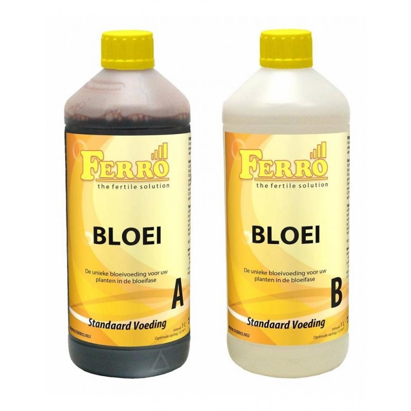 Ferro Bloei A&B