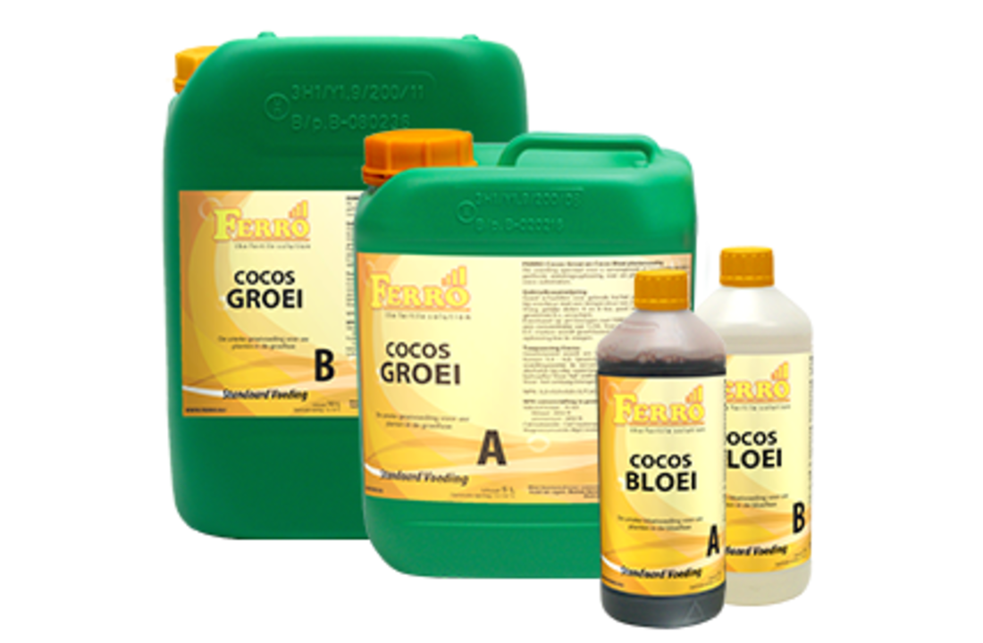 Ferro Cocos Groei A&B