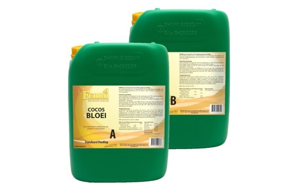 Ferro Cocos Bloei A&B