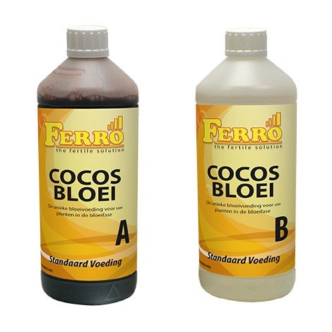 Ferro Cocos Bloei A&B