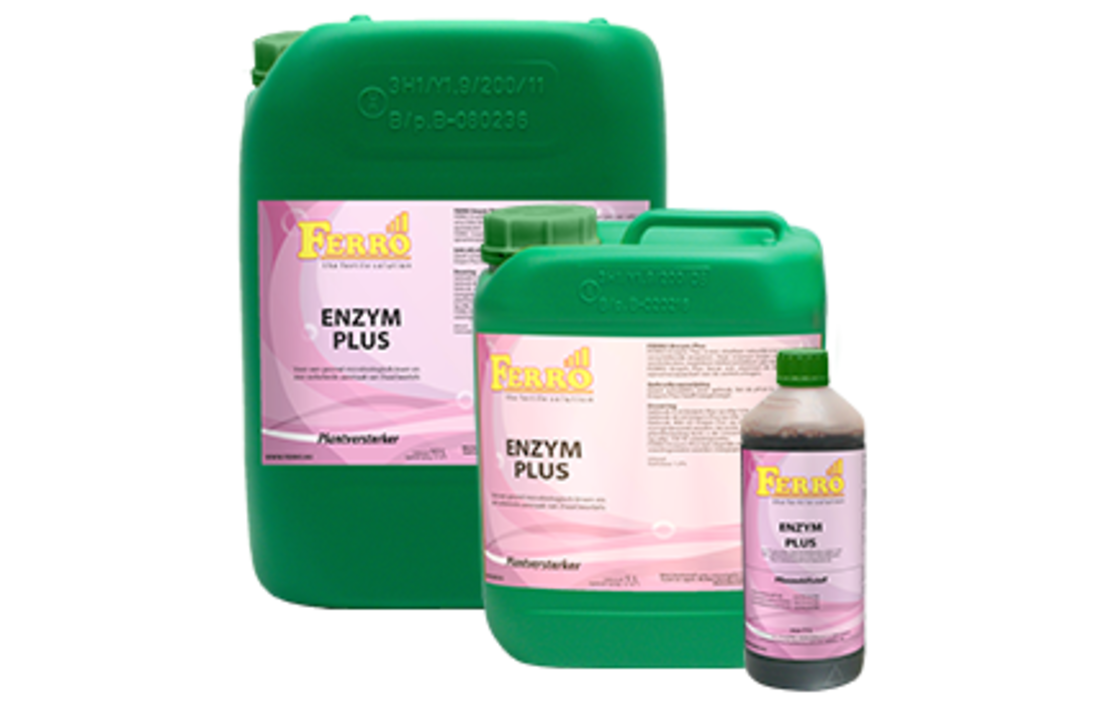 Ferro Enzym Plus