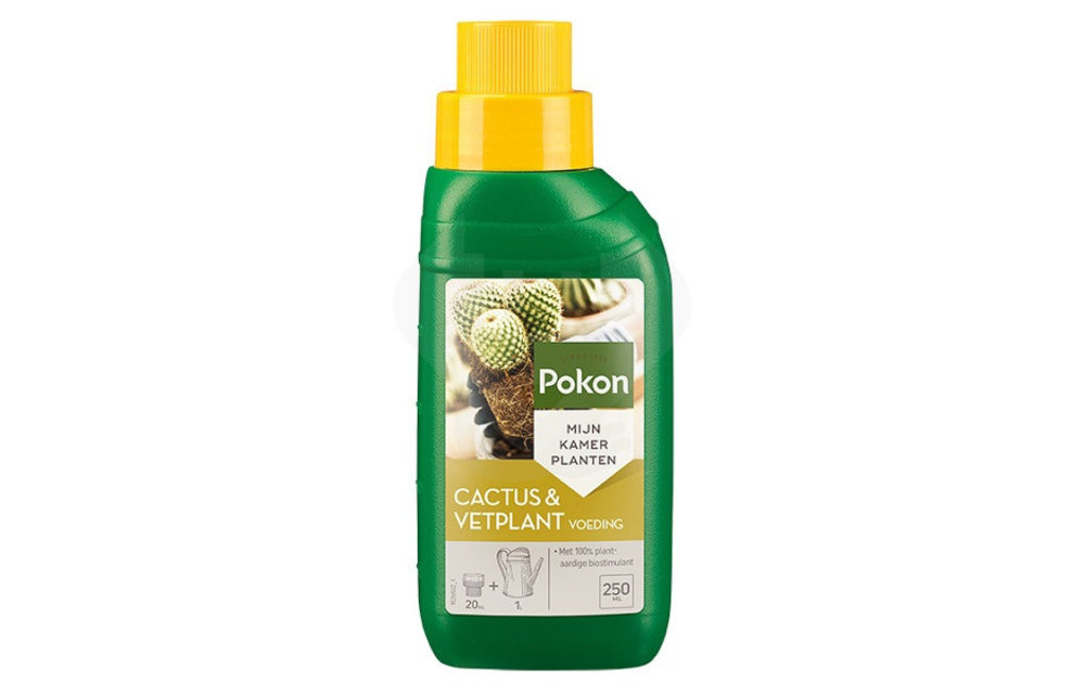 Pokon Cactus / Sukkulenten