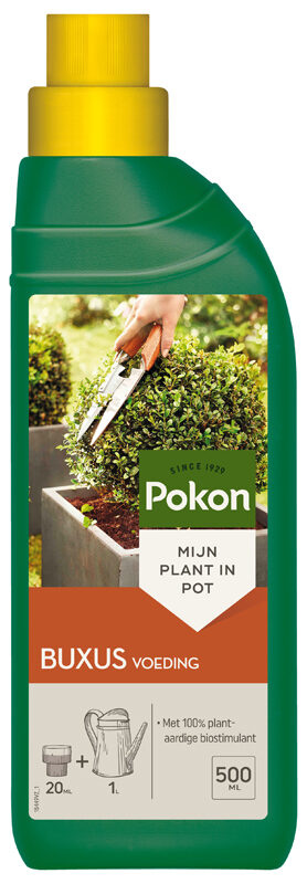 Pokon Buxus Voeding Vloeibaar 500ml