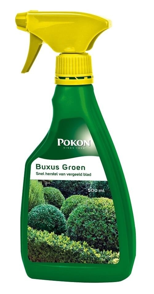 Pokon Buxus Groen Probleemoplosser
