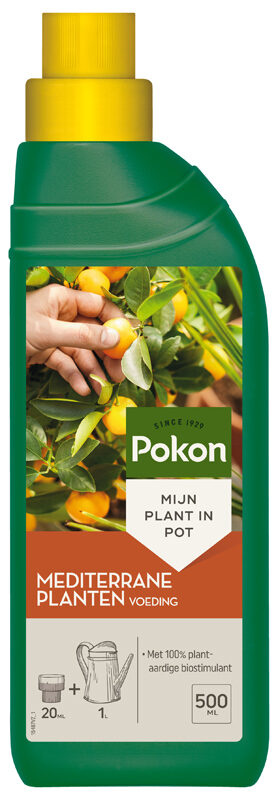 spectrum Ontmoedigen vis Pokon Mediterrane Planten Voeding 500ml - Urban Gardening Store