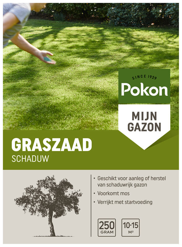 Pokon Graszaad Schaduw