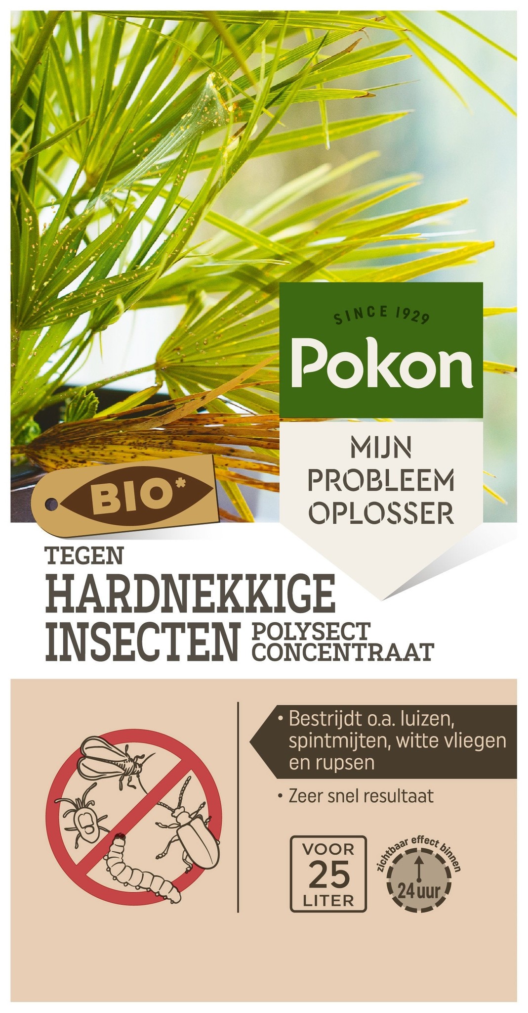 Pokon tegen hardnekkige insecten concentraat 175ml
