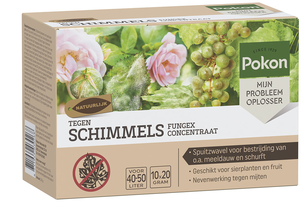 Pokon tegen schimmels