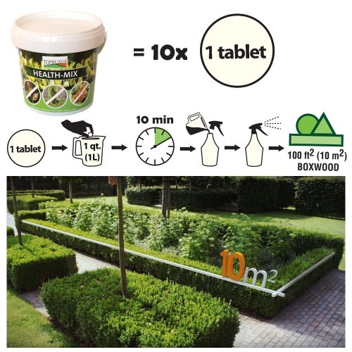 Top Buxus Health Mix