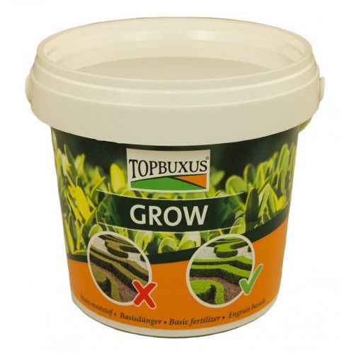 Top Buxus Grow