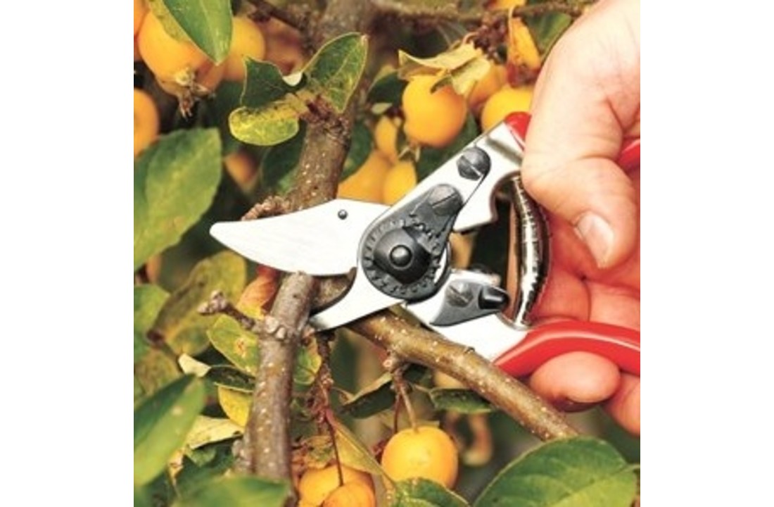 Felco 6 Snoeischaar - Compact Rood