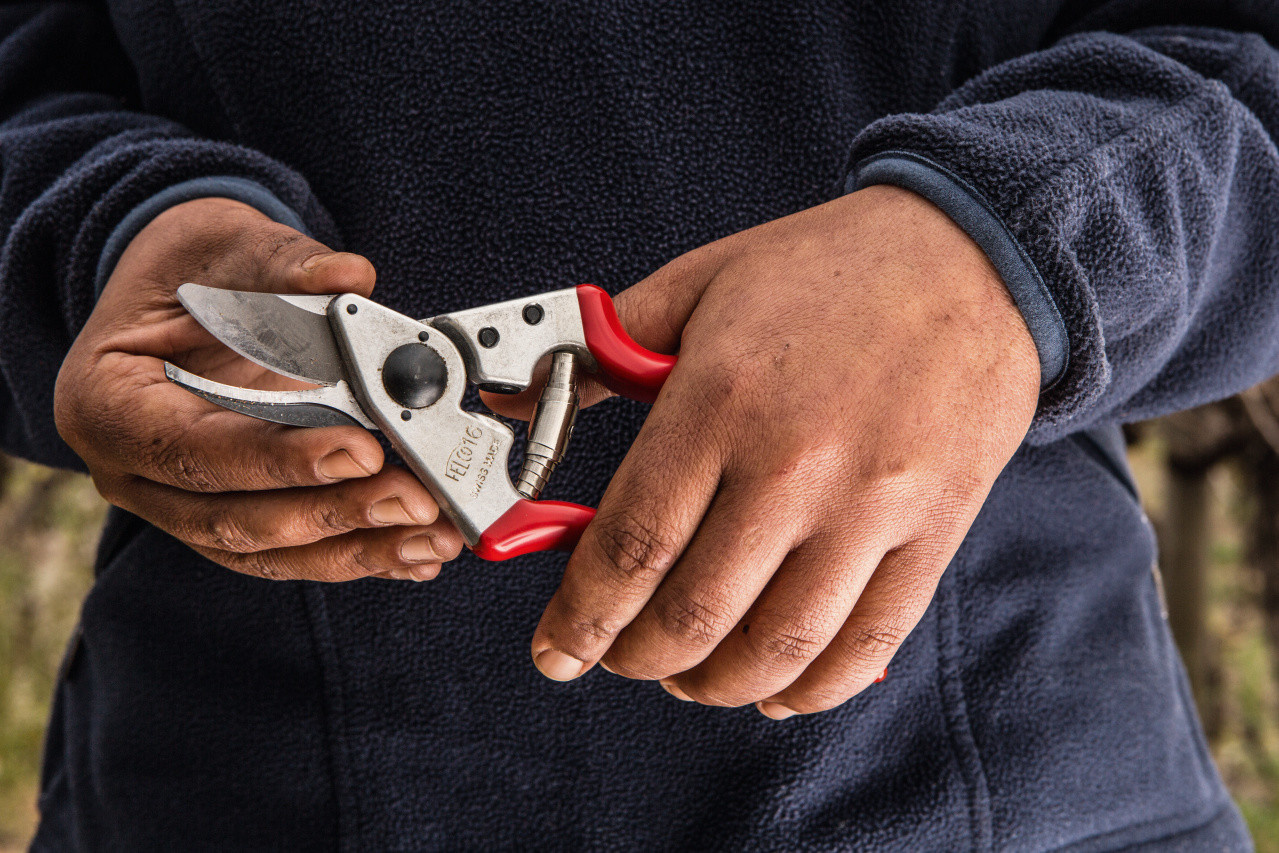 Felco 16 Secateurs - Left-handed Red