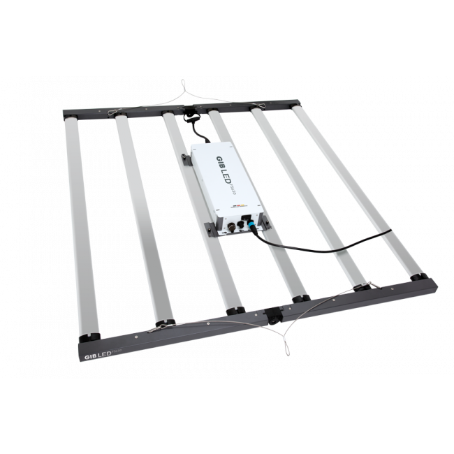 GIB Lighting LED FS630 630W